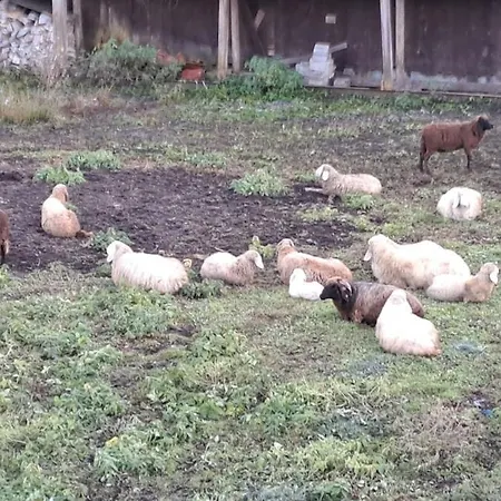 Bergheim - Apartmán Garmisch-Partenkirchen