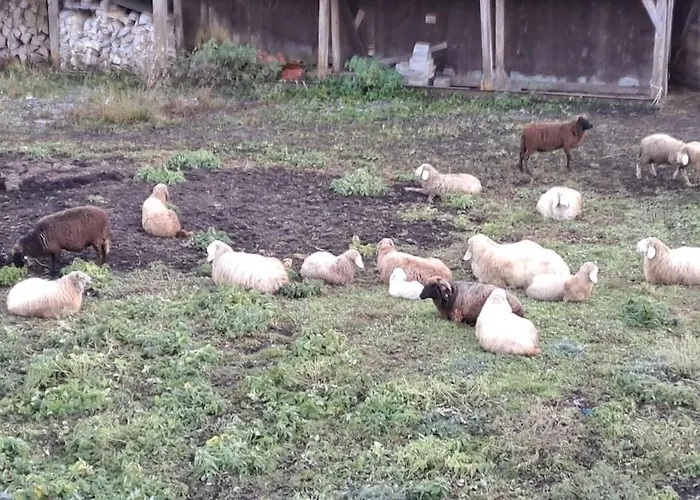 Bergheim - Διαμέρισμα Γκάρμις-Παρτενκίρχεν